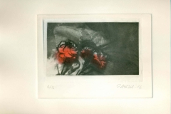 OMAIRA-ABADIA-Dianthus-Caryophyllus-en-rojo-4-13
